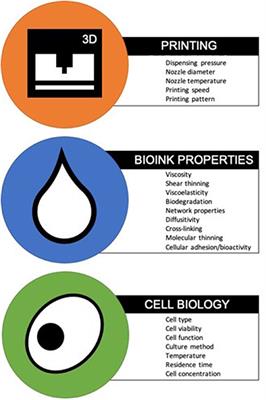 Candidate Bioinks for Extrusion 3D Bioprinting—A Systematic Review of the Literature